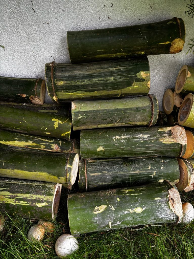 Bamboo Salt in Canada